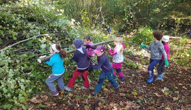 Skauti vyčistili les.