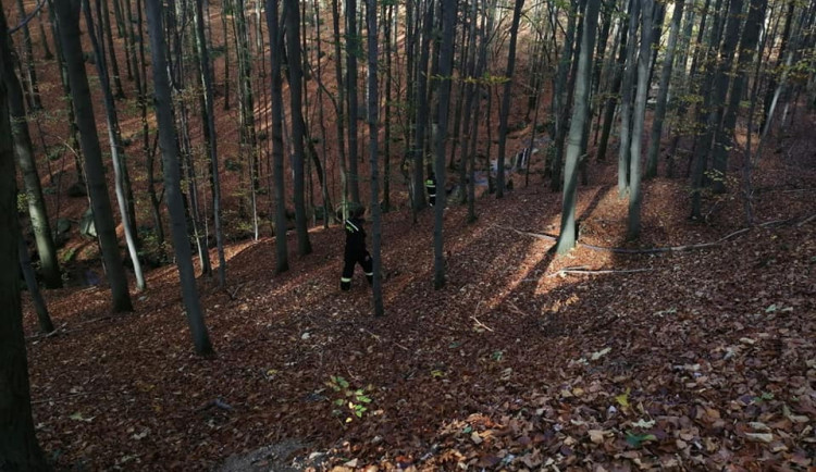 Ztraceného muže hledaly desítky lidí.