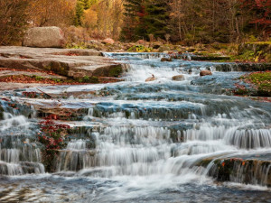 Bílé Labe - Miloš Šálek