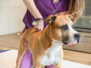 Fyzioterapeutka Barbora Šulcová při práci.