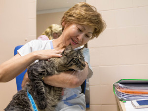 Animoterapie v liberecké nemocnici.