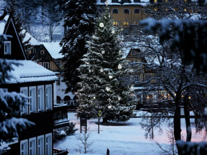 Rozsvícení vánočního stromu_rtic