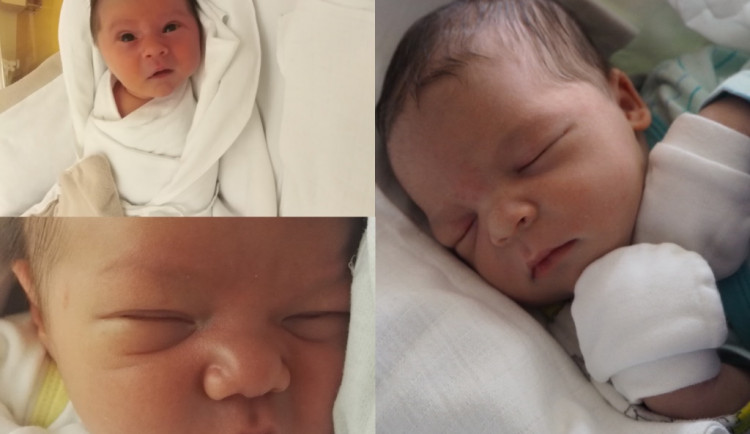 Listopadová drbňátka