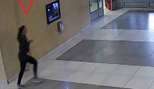 Tuto ženu hledá policie