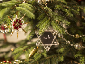 Rautis_hvezdy