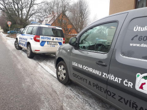 Zubožený Árny žil v hrozných podmínkách.