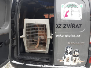 Zubožený Árny žil v hrozných podmínkách.