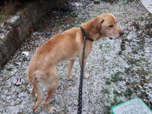 Zubožený Árny žil v hrozných podmínkách.