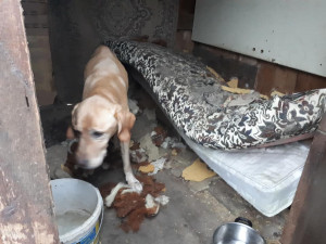 Zubožený Árny žil v hrozných podmínkách.