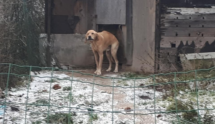 Zubožený Árny žil v hrozných podmínkách.