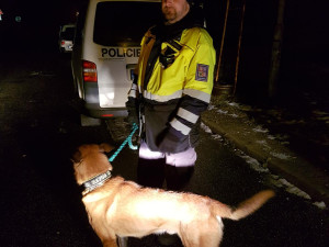 Policisté a celníci si posvítili na autobusy.