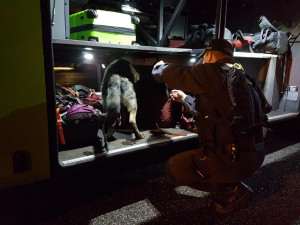 Policisté a celníci si posvítili na autobusy.
