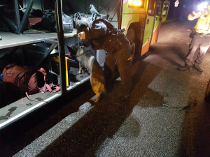 Policisté a celníci si posvítili na autobusy.