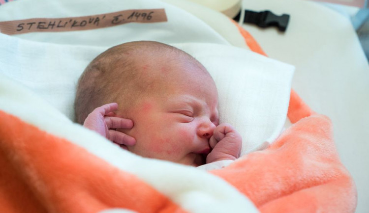 Posledním miminkem roku se stala holčička Karla.