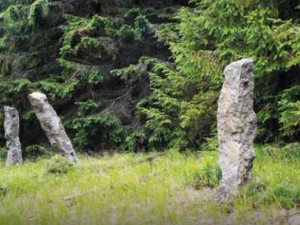Zbyly jen tisíce malých menhirů. Clam-Gallasové v Jizerkách stavěli obory, připomíná je výstava