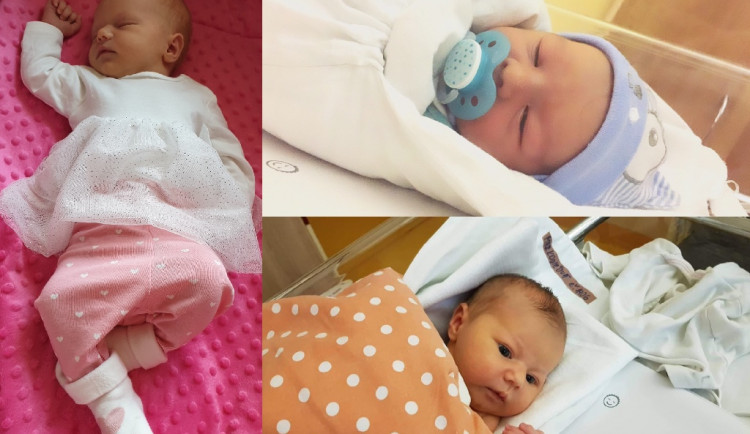 Drbňátko měsíce prosince