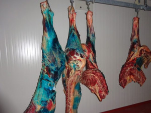 Veterináři na Jablonecku odhalili nelegální jatka. Našli na nich 300 kilo masa