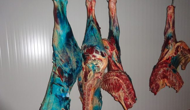 Veterináři na Jablonecku odhalili nelegální jatka. Našli na nich 300 kilo masa