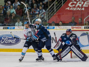 Bílí Tygři Liberec