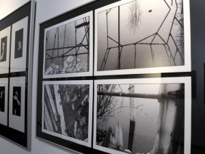 Fotografie Pavla Stejskala