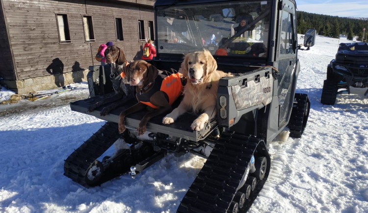 Kynologové trénovali v Krkonoších