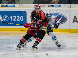 Tygři dnes převálcovali Hradec 5:1.