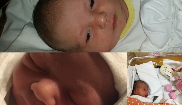 Drbňátka leden 2019