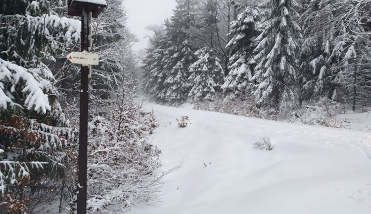 JIzerská 50 se pojede