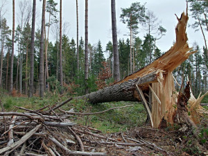 VÝSTRAHA: Na Česko se žene vichřice, zasáhne celý Liberecký kraj