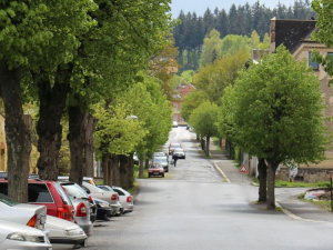 Ulice V Aleji přijde o všechny stromy. Lípy nahradí javory a muchovníky