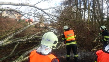 V Libereckém kraji je stále silný vítr, hasiči vyjeli k desítce událostí