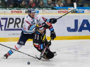 Napínavý zápas s Litvínovem nakonec Tygři ovládli a vyhráli 5:4