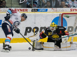 Napínavý zápas s Litvínovem nakonec Tygři ovládli a vyhráli 5:4