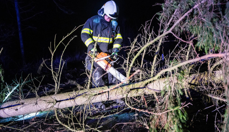 Cyklostezka Varhany je dočasně uzavřená kvůli popadaným stromům