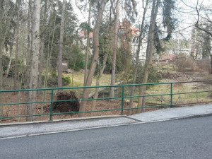 Poničené stromy v Liberci