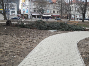 Poničené stromy v Liberci