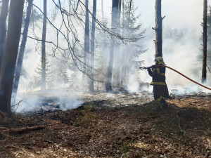 Požárů v přírodě rychle přibývá. U Troskovic zasahovalo šest jednotek hasičů