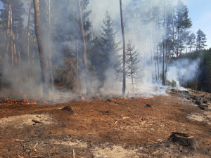 Požárů v přírodě rychle přibývá. U Troskovic zasahovalo šest jednotek hasičů
