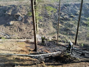 Požárů v přírodě rychle přibývá. U Troskovic zasahovalo šest jednotek hasičů