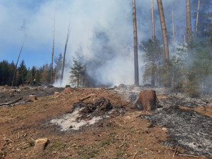 Požárů v přírodě rychle přibývá. U Troskovic zasahovalo šest jednotek hasičů