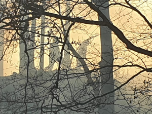 FOTO: Hasiči likvidují u Železného Brodu požár lesa na 15 hektarech