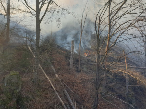 FOTO: Hasiči likvidují u Železného Brodu požár lesa na 15 hektarech