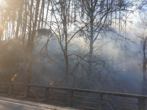 FOTO: Hasiči likvidují u Železného Brodu požár lesa na 15 hektarech