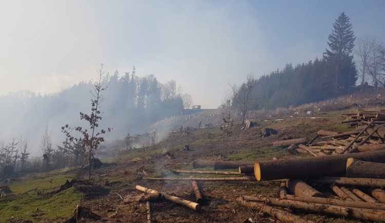 FOTO: Hasiči likvidují u Železného Brodu požár lesa na 15 hektarech
