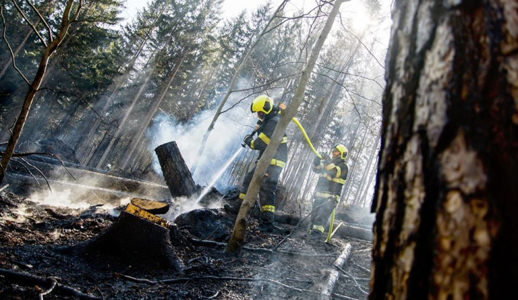 FOTO: Včera zasahovali hasiči v harcovském lese, hořely zde větve a klády
