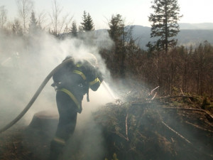FOTO: Na Proseči hořel les, vyhlášen byl druhý stupeň požárního poplachu
