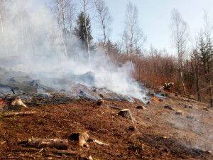 FOTO: Na Proseči hořel les, vyhlášen byl druhý stupeň požárního poplachu