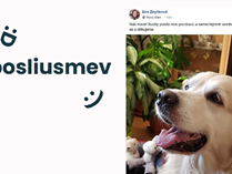 Pošlete úsměv prodavačkám v první linii. OC Nisa promítá vzkazy personálu i zákazníkům