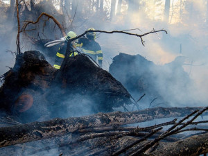 FOTO: Včera zasahovali hasiči v harcovském lese, hořely zde větve a klády