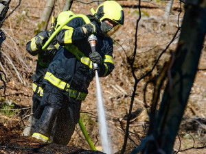 FOTO: Včera zasahovali hasiči v harcovském lese, hořely zde větve a klády